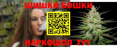 МДПВ Будённовск